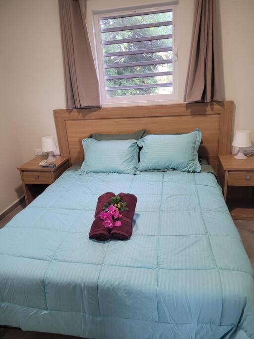Local Willibrord Lodge Willibrordus Ngoại thất bức ảnh